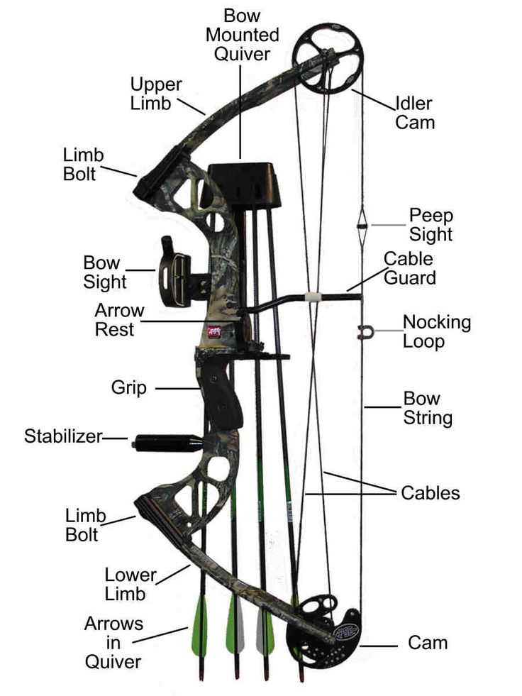 genesis bow parts diagram