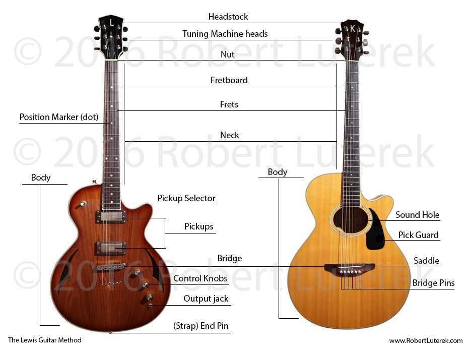 acoustic guitar parts diagram