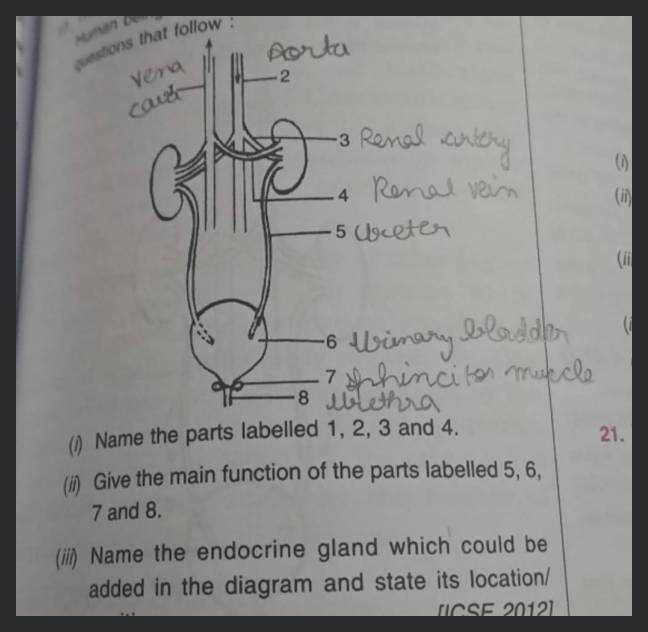 parts of an arrow diagram