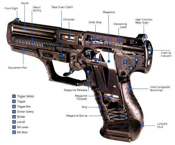 diagram parts of a gun