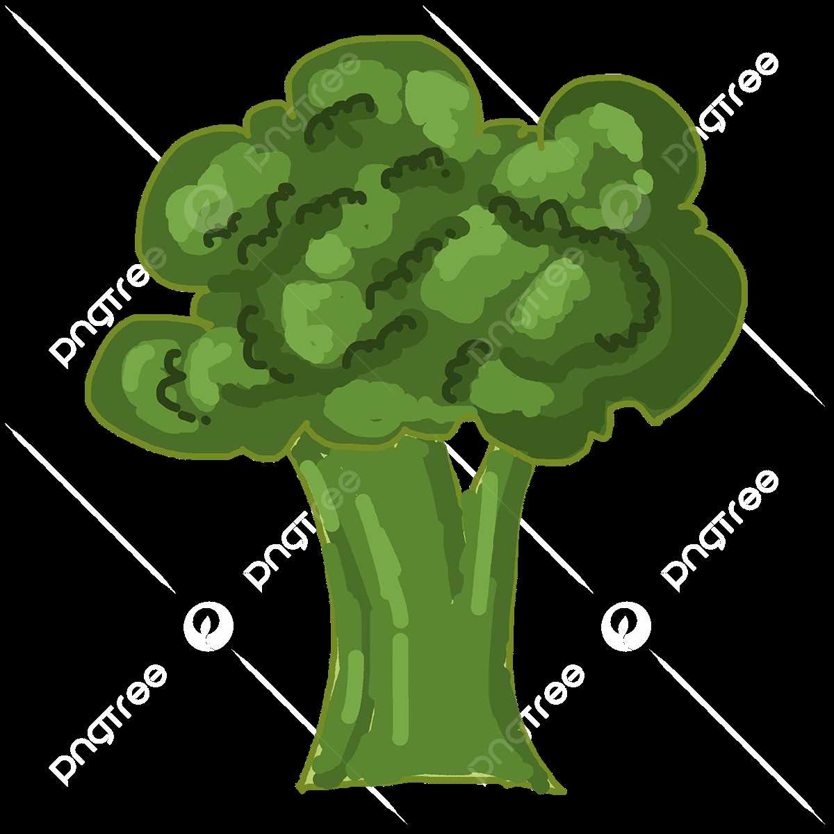 parts of broccoli diagram