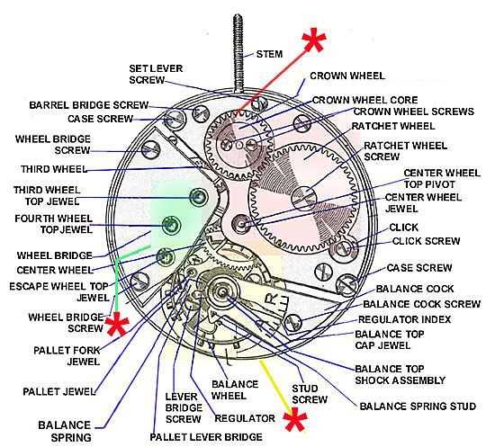 watch diagram part by part