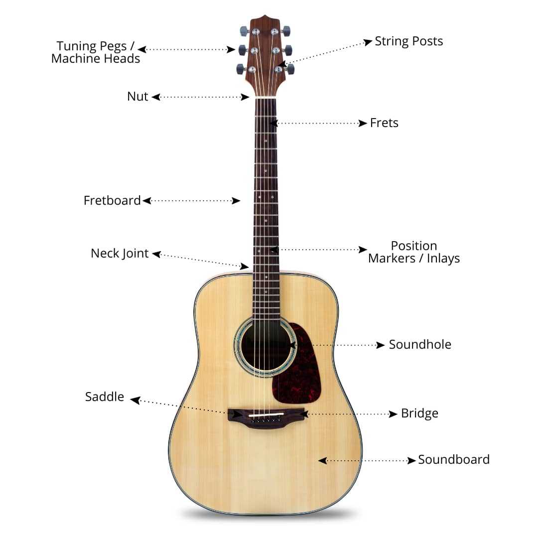 acoustic guitar parts diagram