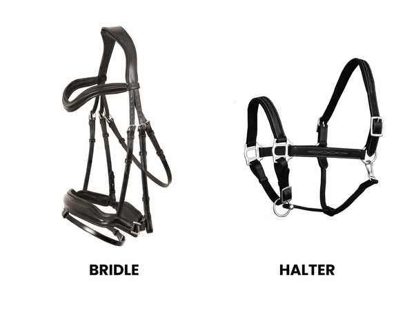 parts of the bridle diagram