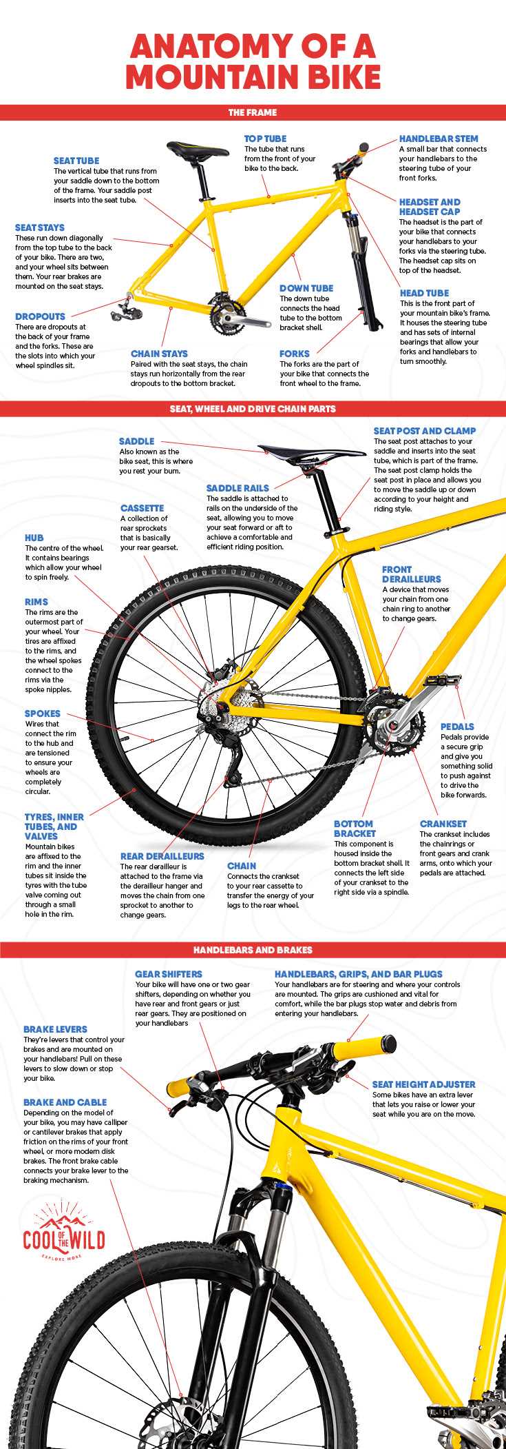 chain parts diagram