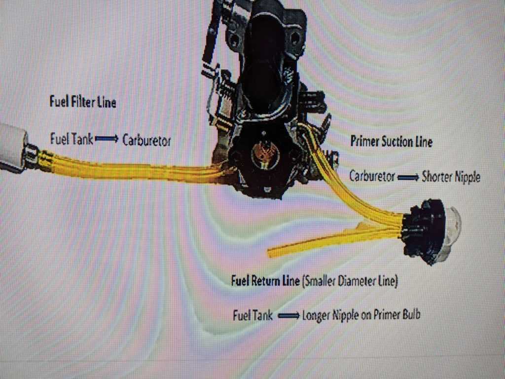 poulan pro 42cc chainsaw parts diagram