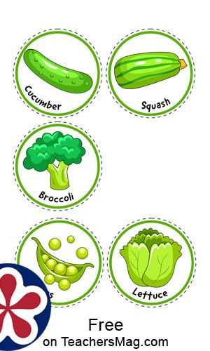 parts of broccoli diagram