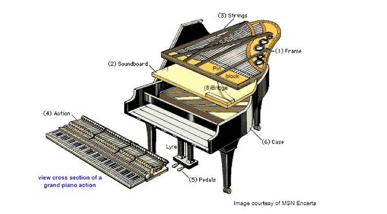 grand piano parts diagram