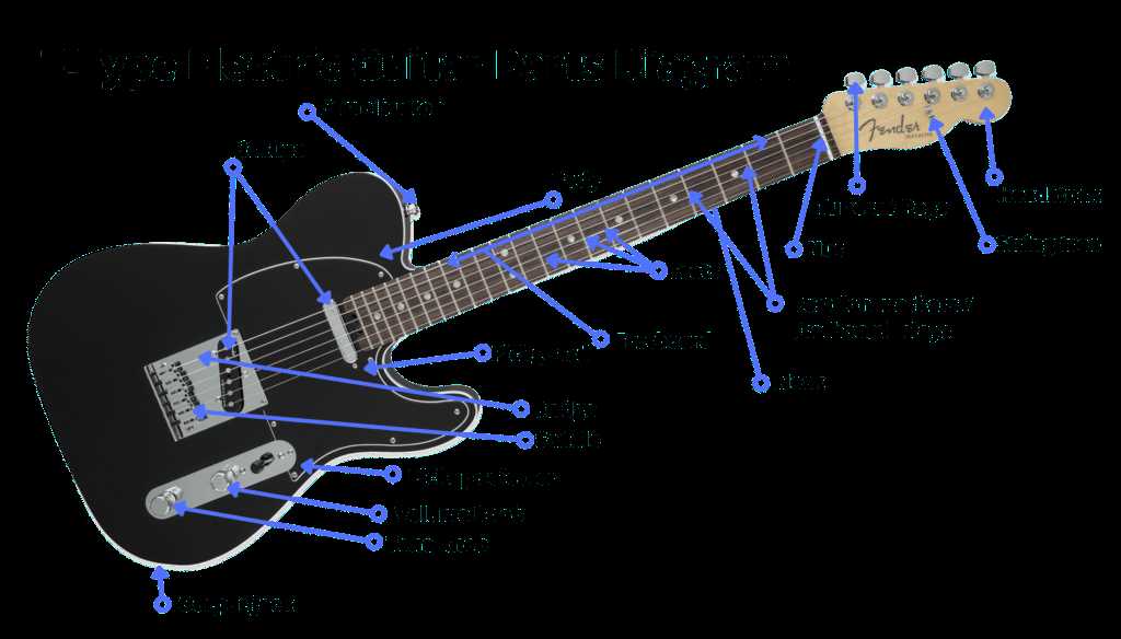 guitar bridge parts diagram