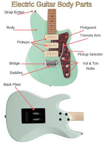 electric bass parts diagram