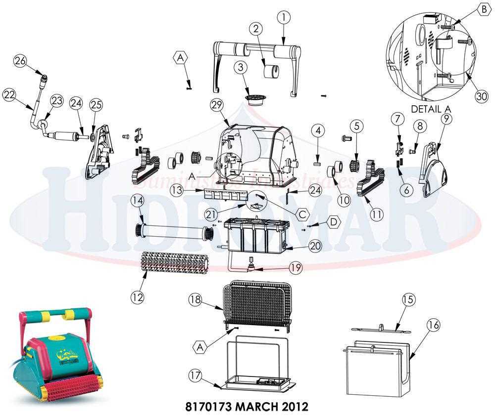 parts of a dolphin diagram