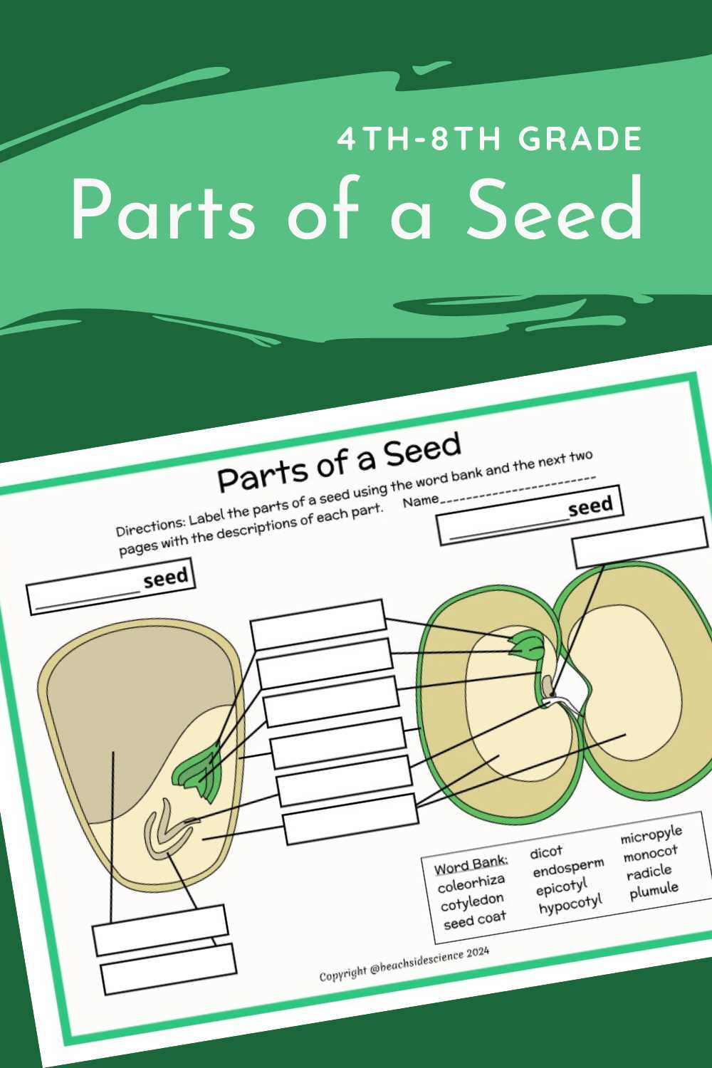 diagram of parts of a seed