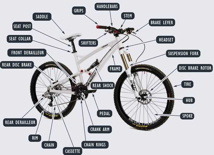 diagram of bike parts