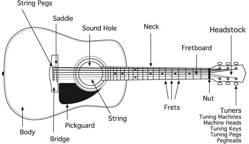 acoustic guitar parts diagram