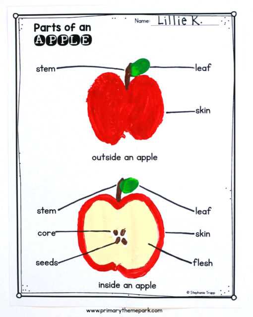 imac parts diagram