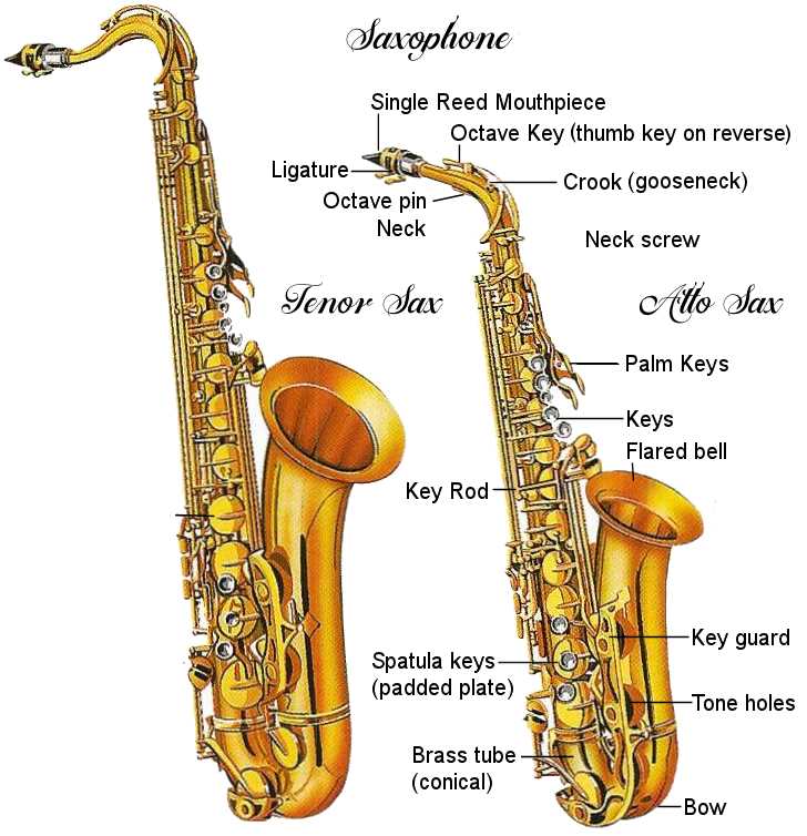 saxophone parts diagram