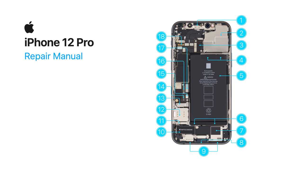 iphone 8 diagram of parts