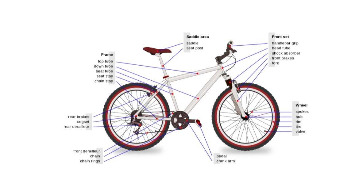 diagram of mountain bike parts