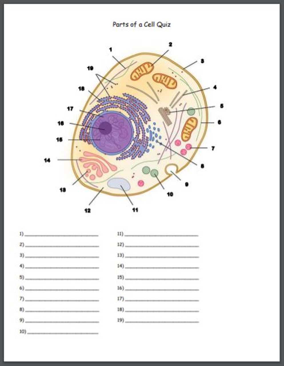 parts of a cell diagram worksheet