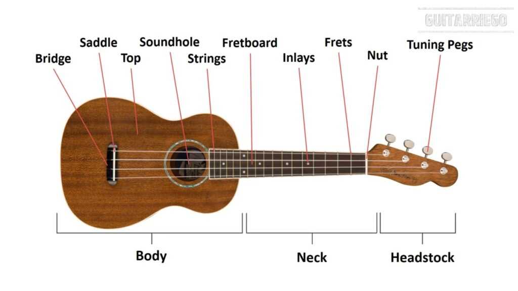 ukulele diagram of parts