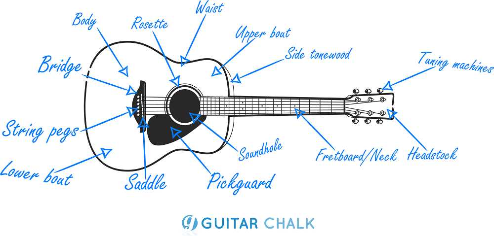 acoustic guitar parts diagram