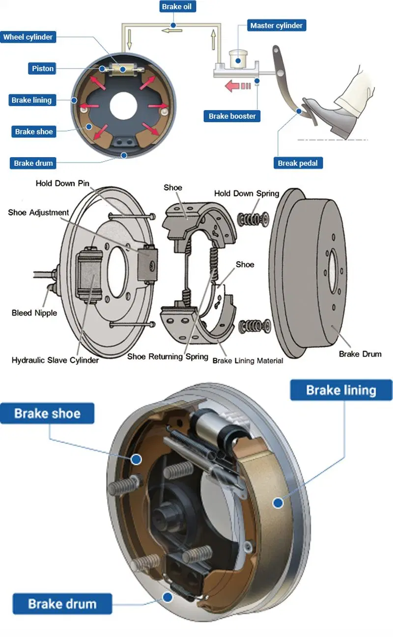 rear drum brake parts diagram