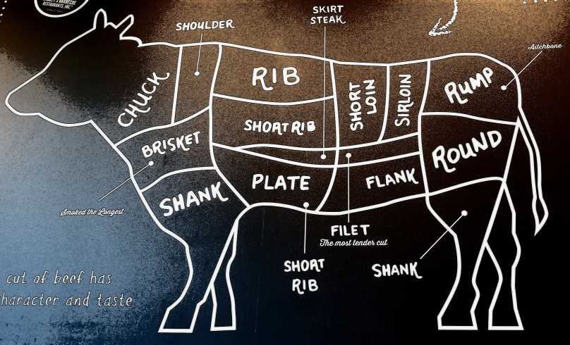 cow parts diagram