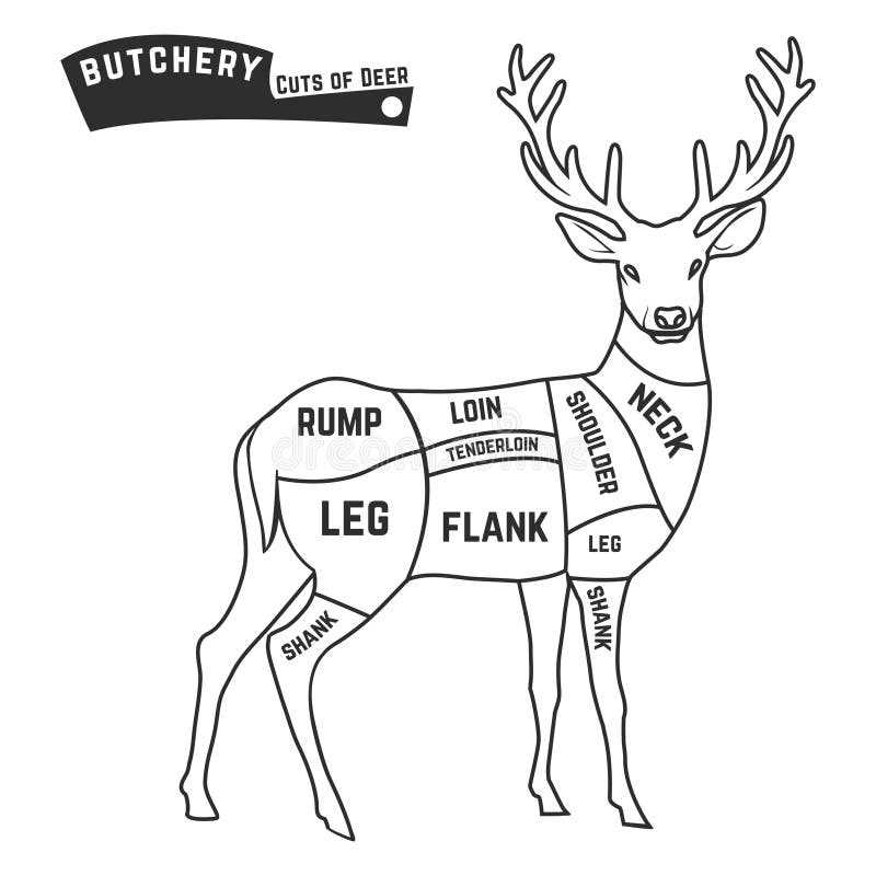 deer meat parts diagram