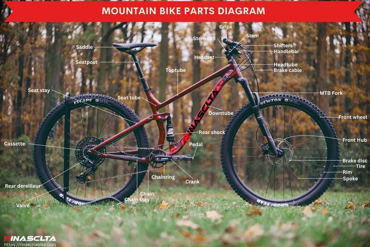 mtb fork parts diagram