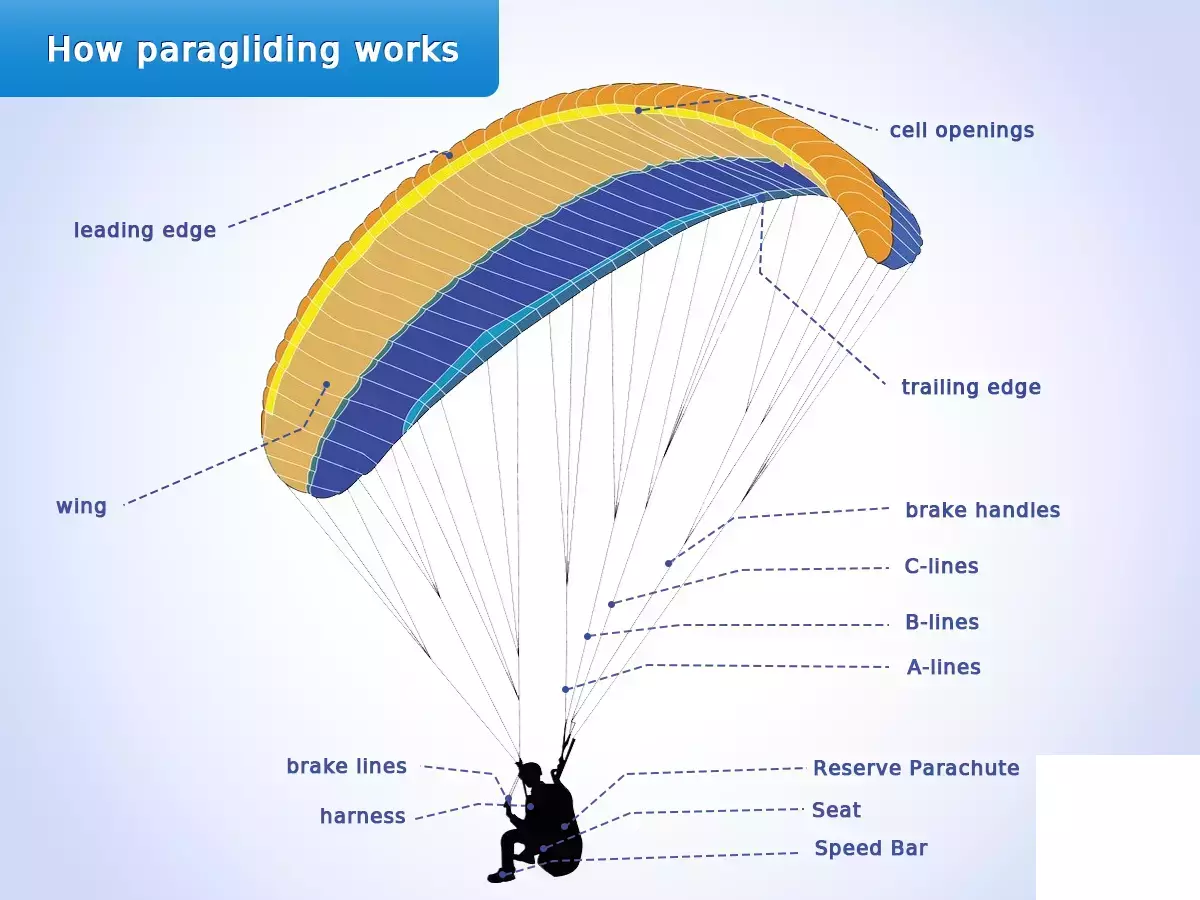 parachute parts diagram