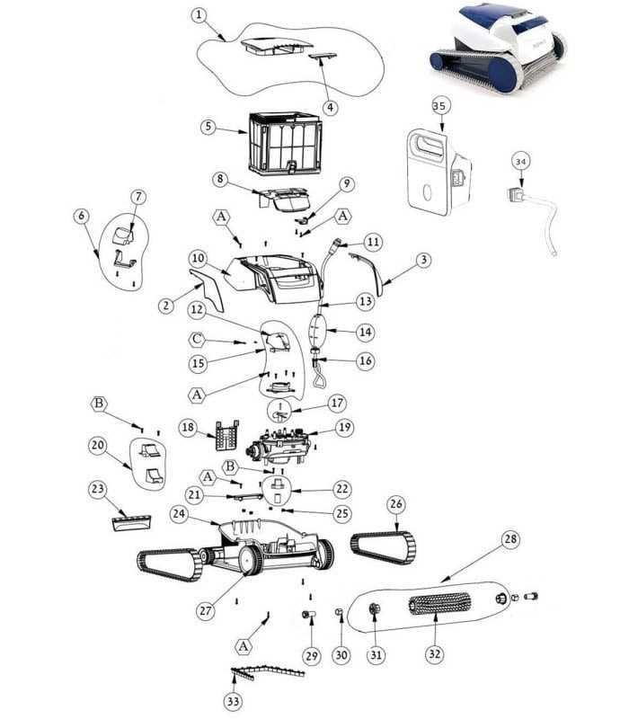 parts of a dolphin diagram