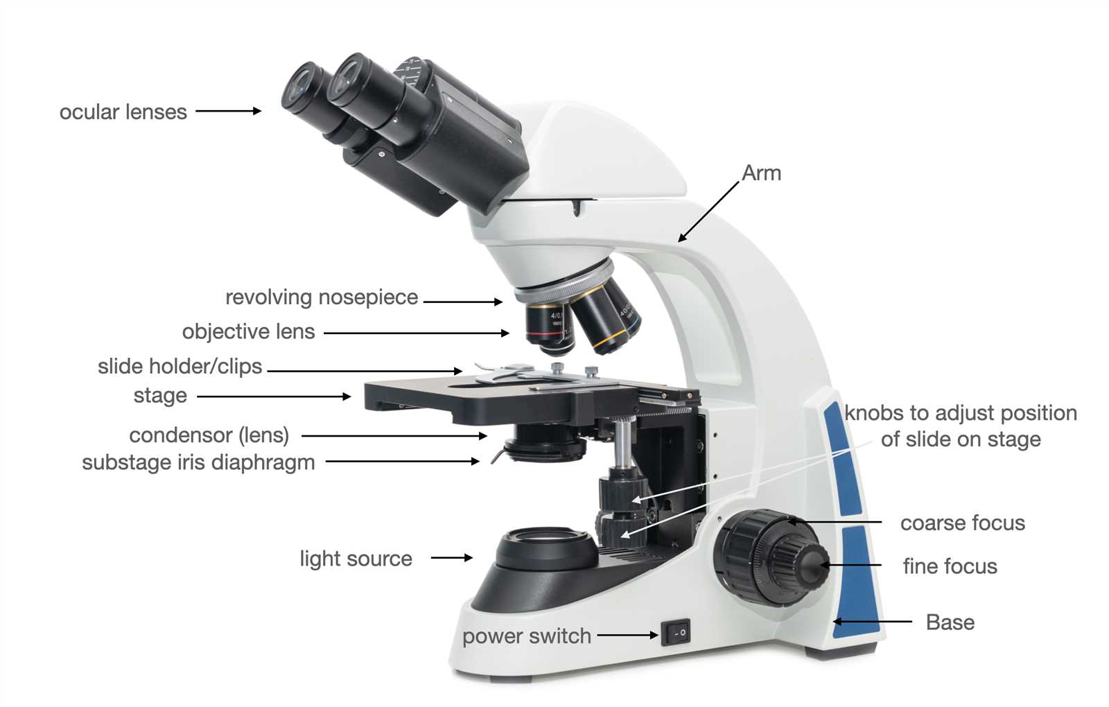 parts of a microscope diagram labeled