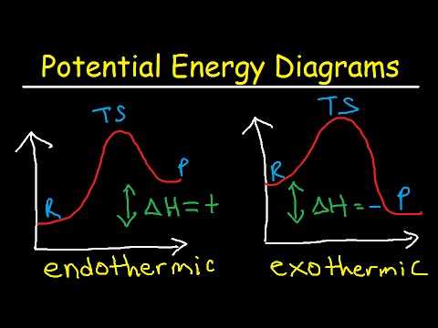 parts of a potential energy diagram