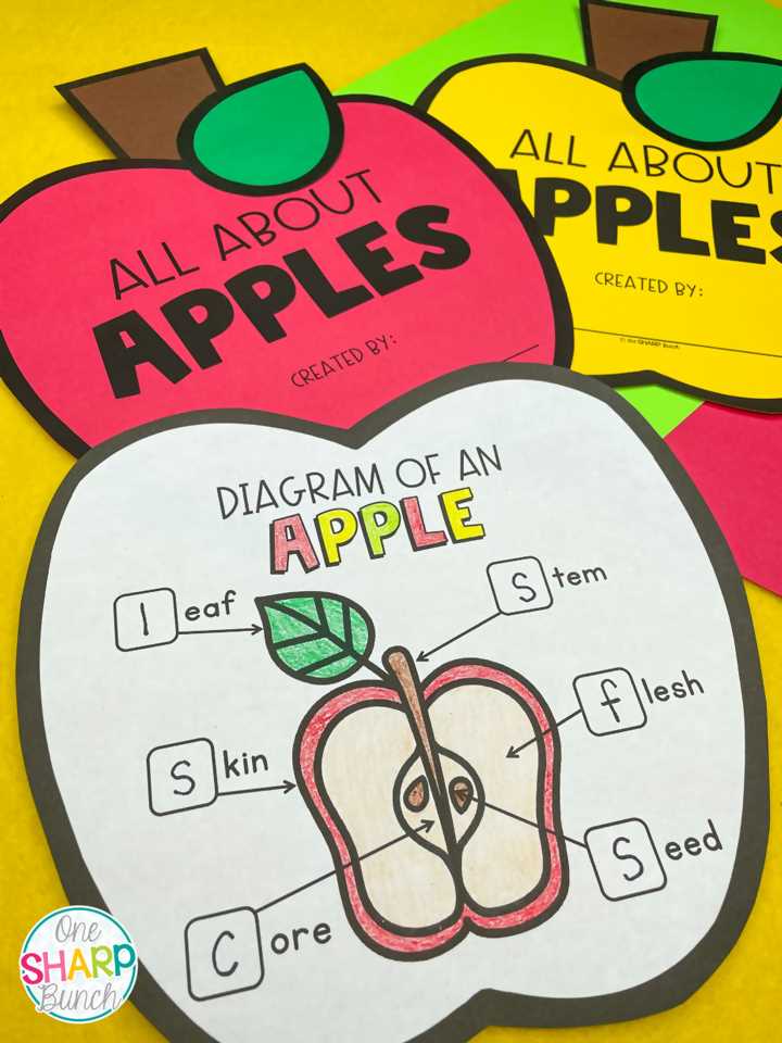 parts of an apple diagram