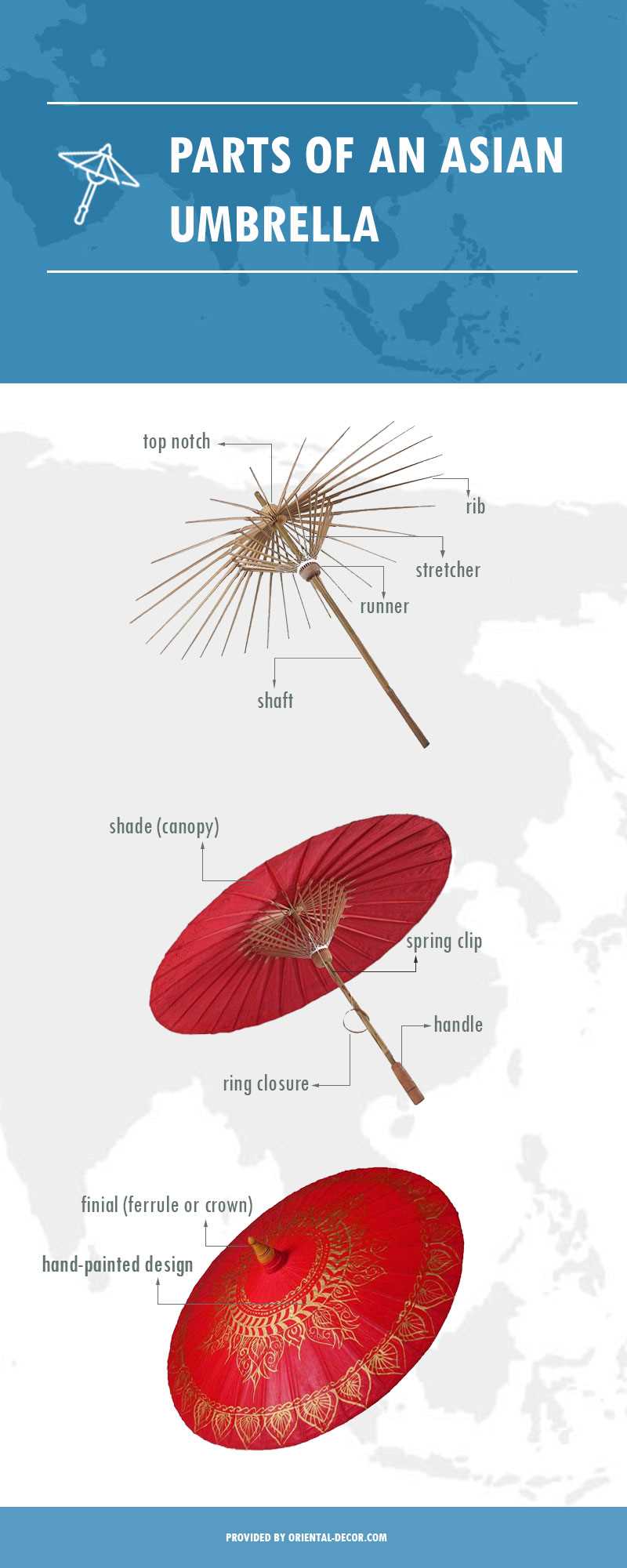 parts of an umbrella diagram