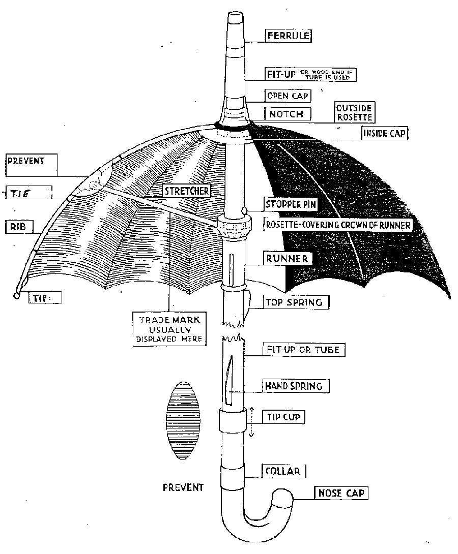 parts of an umbrella diagram