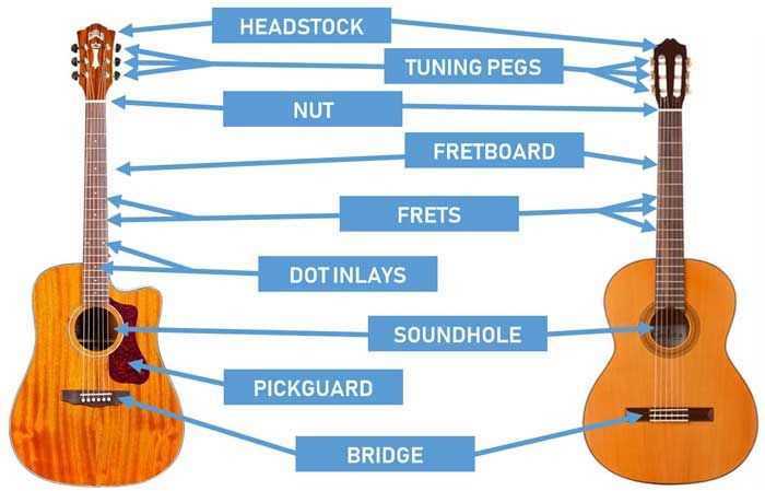 parts of the guitar diagram