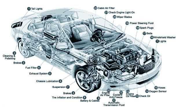 parts underneath a car diagram