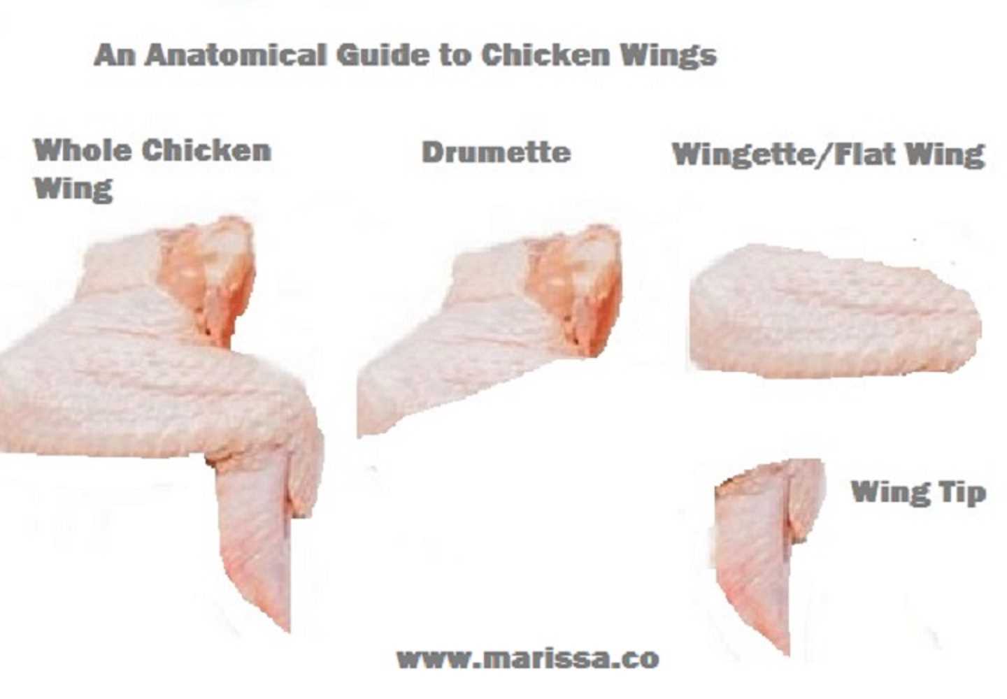 parts of a chicken wing diagram