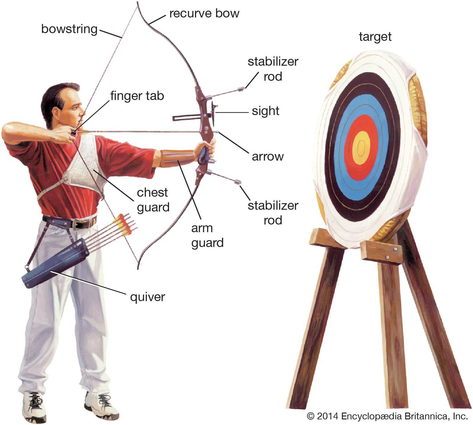 recurve bow parts diagram