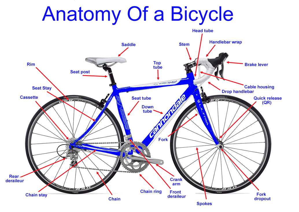 road bike parts diagram