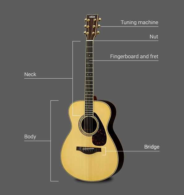 parts of the guitar diagram