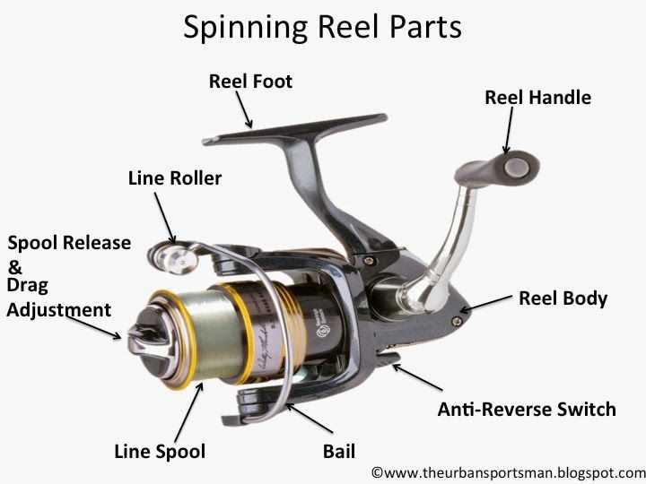 reel parts diagram