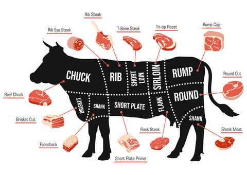 parts of beef diagram