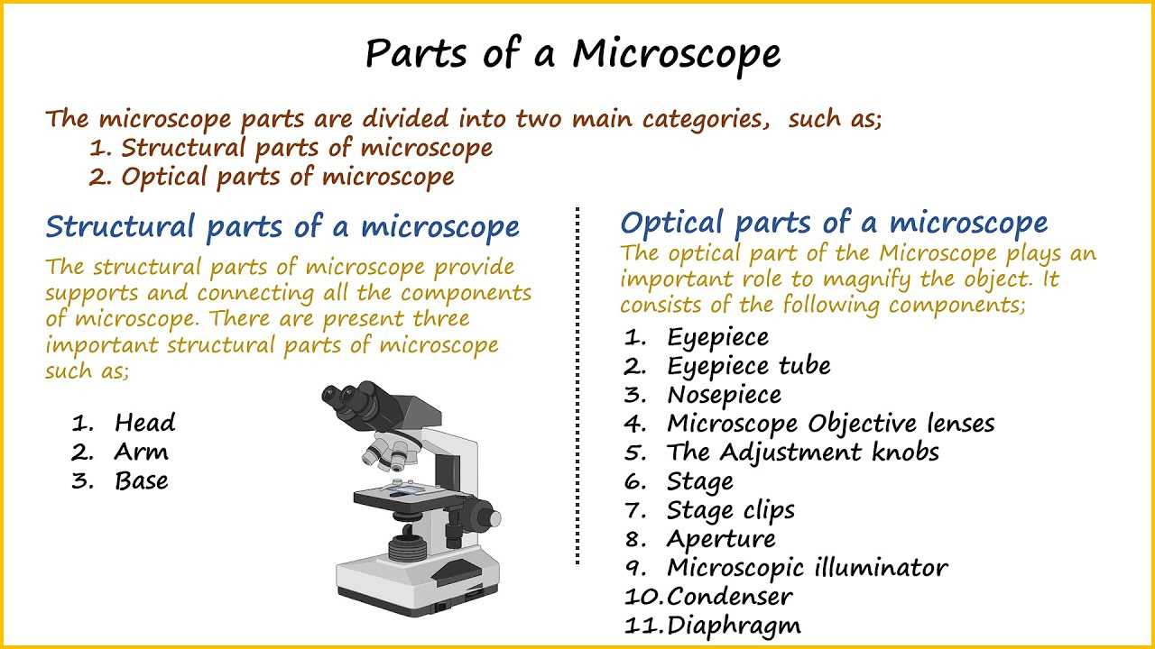 scope parts diagram