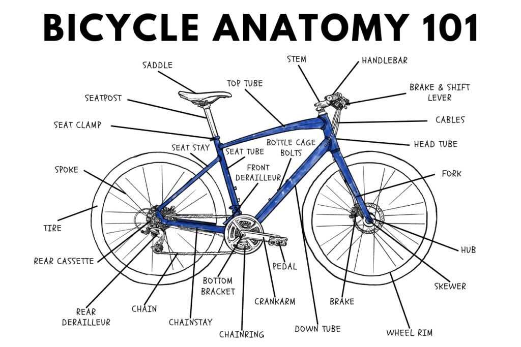 spinning bike parts diagram