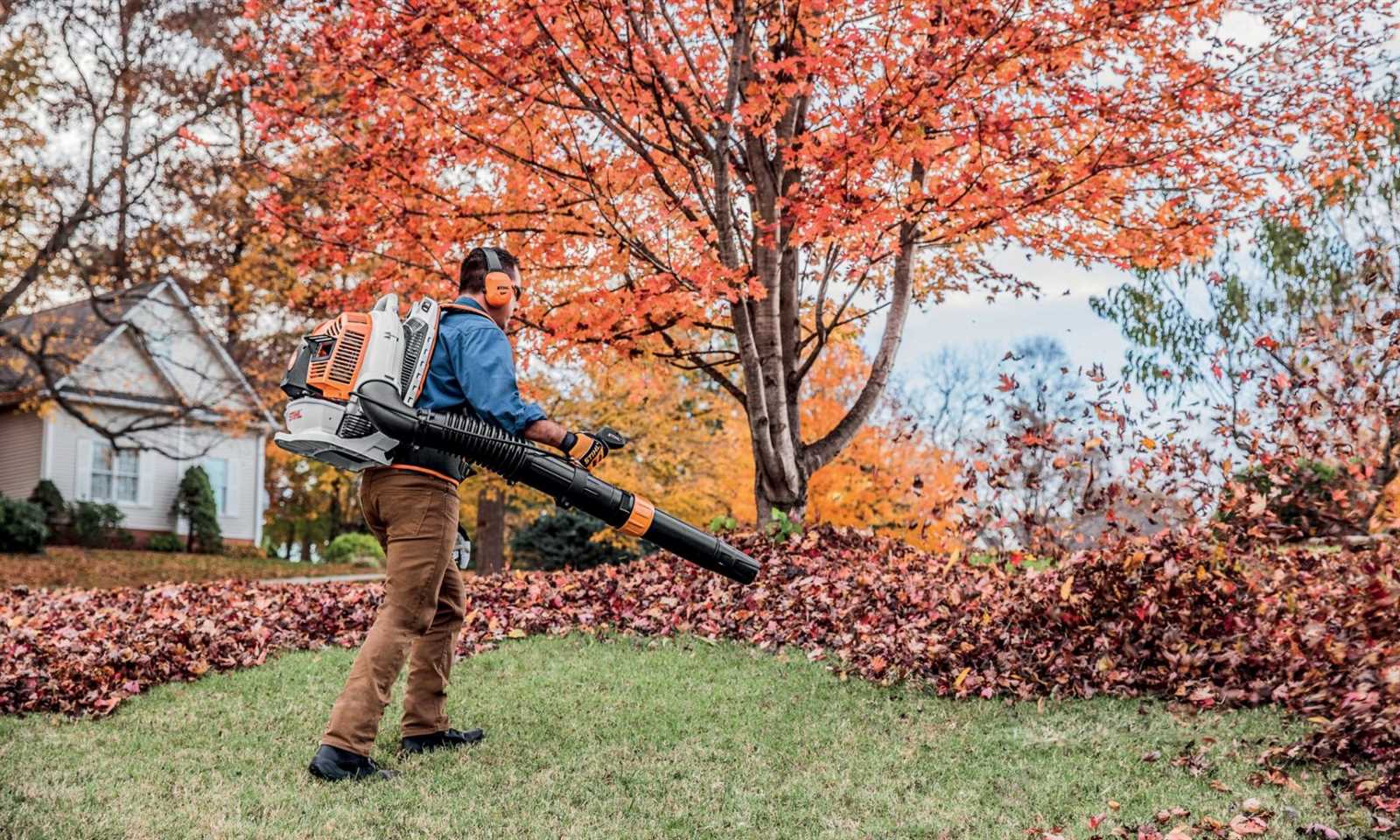 stihl br 800 x magnum parts diagram