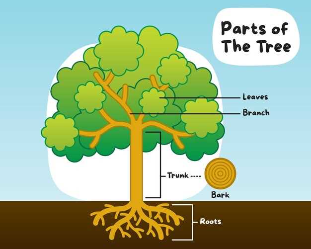 tree diagram parts