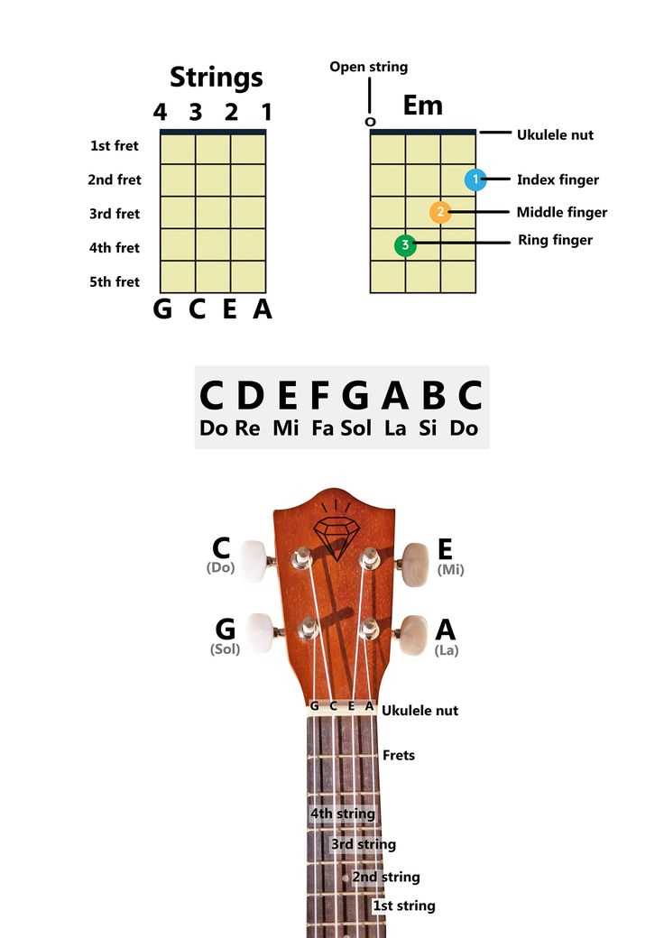 ukulele parts diagram