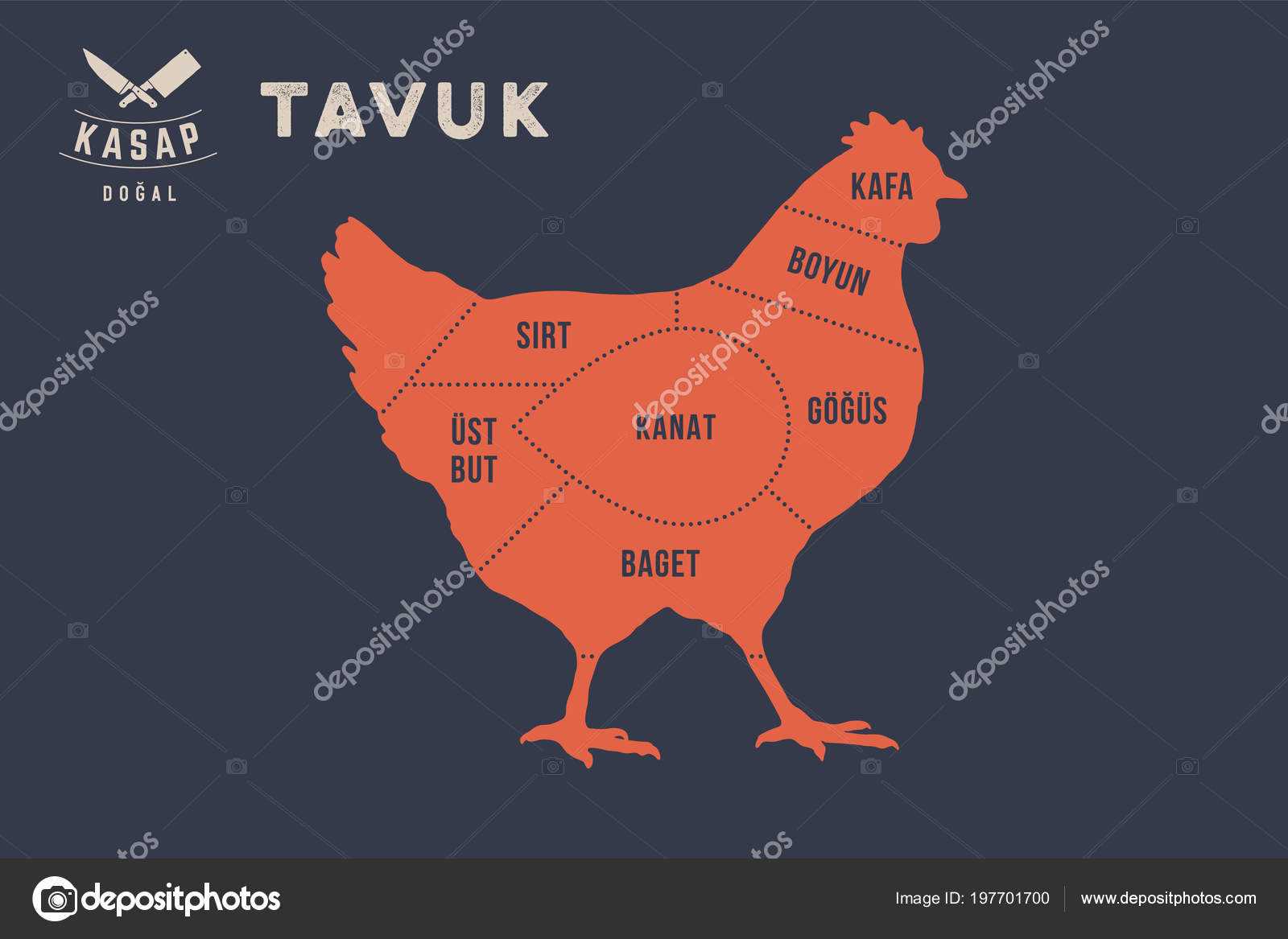 chicken meat parts diagram